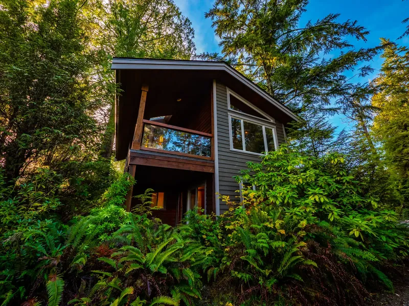 Rainforest Upper Canopy Storm Season Special The Cabins At Terrace Beach